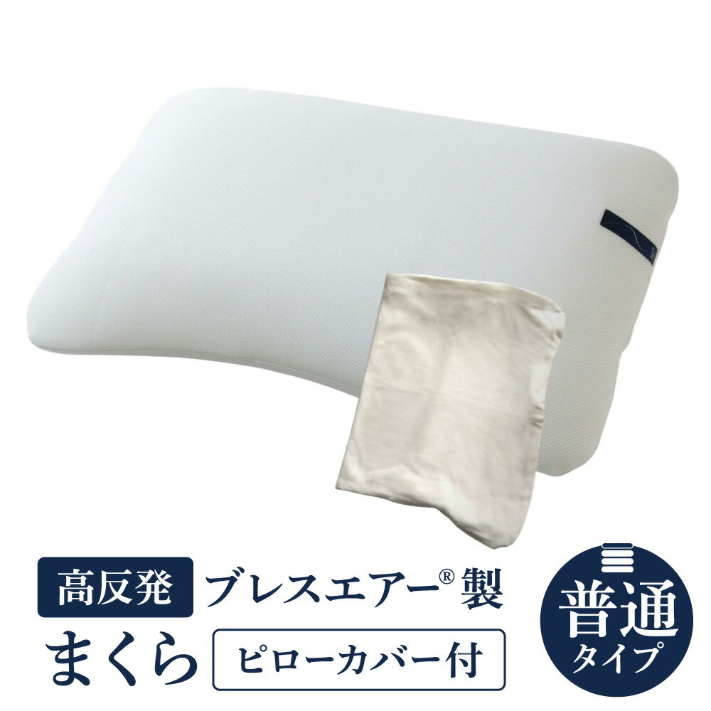 【ふるさと納税】【ピローカバー付】高反発ブレスエアー(R)製まくら 普通タイプ 近江化成工業株式会社 滋賀県 東近江市 D-E19 枕 まくら ピロー 高さ調整 ブレスエアー(R) 肩こり 首こり いびき 寝姿勢サポート 洗える 通気性 快眠 安眠