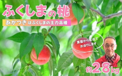 No.2896【限定150箱】ふくしまのもも　あかつき 約2.8kg【2025年発送】