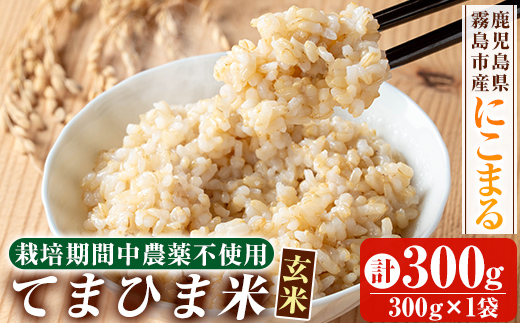 K-391-A 《令和6年産》てまひま米・玄米(品種：にこまる)(計300g：300g×1袋)【末蜜農園】霧島市 お米 玄米 米 こめ コメ ご飯 ごはん 栽培期間中農薬不使用