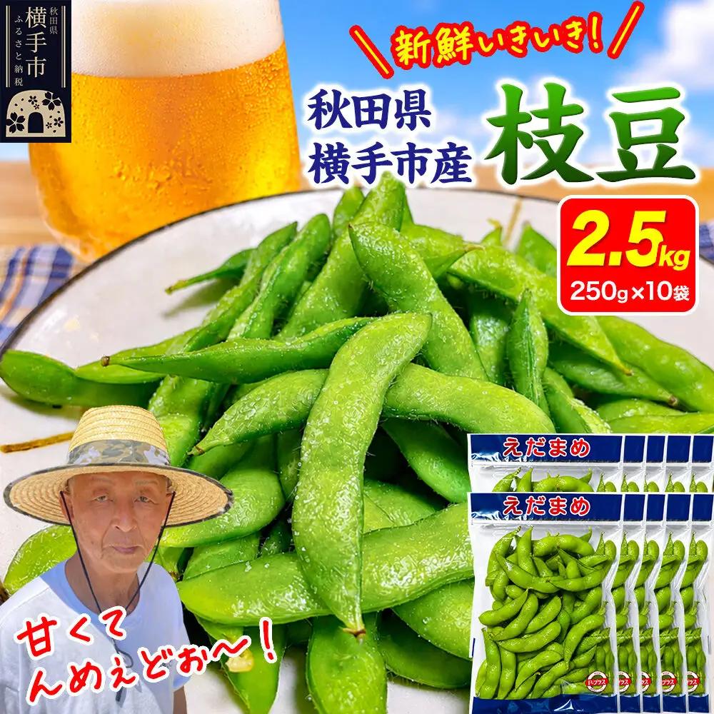 ＜先行受付 7月下旬より発送＞作り手の顔が見える「新鮮いきいき枝豆」 2.5kg（250g×10袋）秋田県横手市産