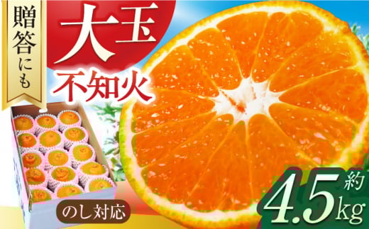 【贈答】【大玉】不知火 約4.5kg（13～15個）ー3月中旬～4月中旬頃に発送ー 長与町/彩咲果樹園 [ECM001] しらぬい 不知火 デコポン でこぽん 柑橘 かんきつ みかん ミカン 蜜柑 大玉 贈答 果物 フルーツ 先行予約 長崎県 長与町