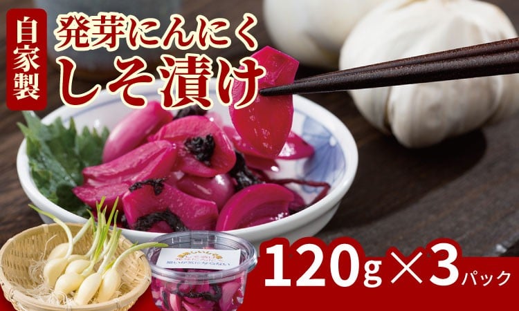 
            発芽ニンニクしそ漬けセット（３パック）臭いが気にならない
          