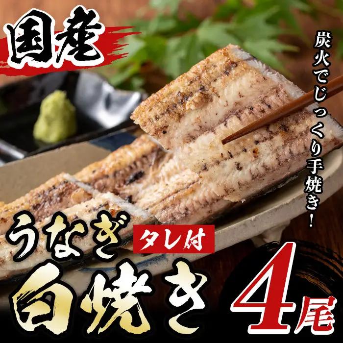 国産！うなぎ白焼き(4尾・タレ付き) 国産 九州産 鰻 ウナギ 無頭 魚 魚介類 かばやき 蒲焼 蒲焼き しろやき 白焼 おかず 特産品 お土産 ギフト プレゼント 冷蔵 【尾方屋】_y509
