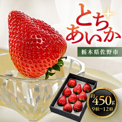 【ふるさと納税】栃木県 いちご 新品種【とちあいか】 9粒～12粒 約450g【配送不可地域：離島】【1258710】