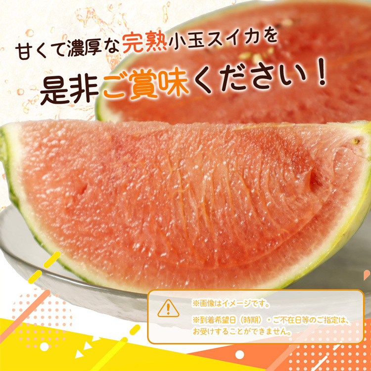【先行予約】 小玉スイカ「ひとりじめ」 2玉 約3.6kg 紀州和歌山産_イメージ5