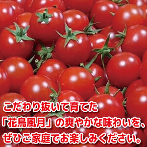 【2027年4月発送】 ミニトマト 花鳥風月 国産 1kg ミニトマト