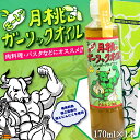 【ふるさと納税】お料理ににんにくパワー！徳之島モーレツ 月桃ガーリックオイル（170ml×1本） ( 月桃 にんにく ニンニク オイル エキストラバージンオイル 調味料 アホエン スパイス 料理 塩 徳之島 奄美 鹿児島 世界自然遺産 パスタ 肉料理 パン サラダ 奄美海援隊 )