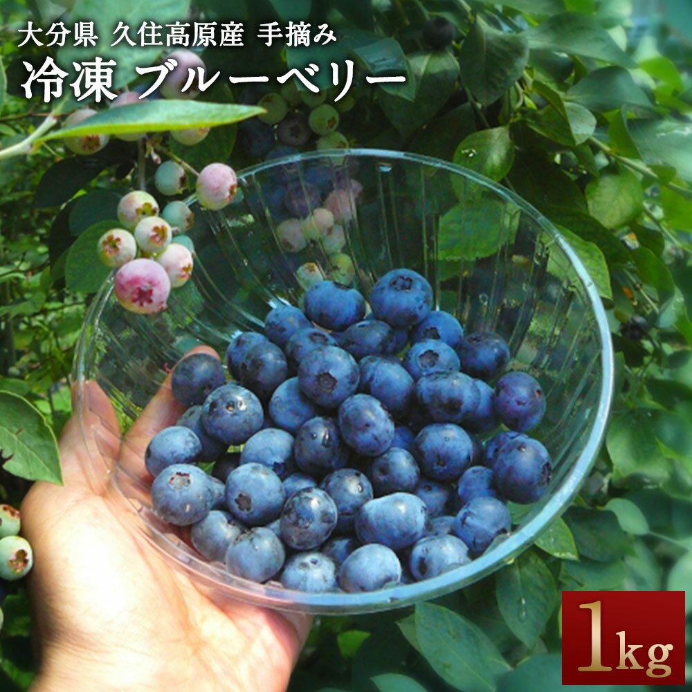 【ふるさと納税】冷凍 ブルーベリー 1kg 栽培期間中 農薬不使用 手摘み 新鮮 ジャム スムージー ヨーグルト フルーツ 果物 特産品 特産 名産 国産 九州 大分県 竹田市 久住高原産 送料無料【2025年7月下旬より順次発送開始予定】