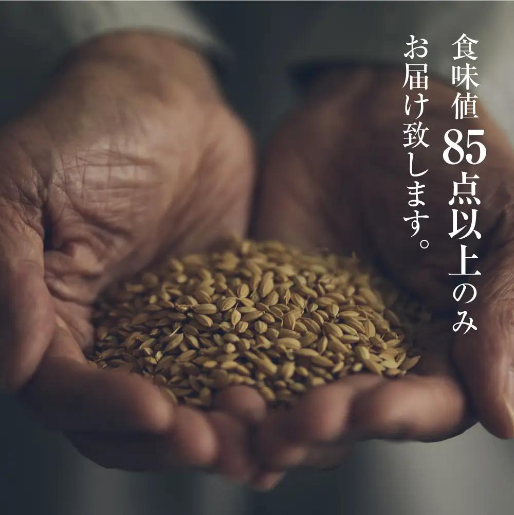 新米《先行予約》令和8年産 黄金の煌き コシヒカリ 2kg こしひかり 米 2キロ 