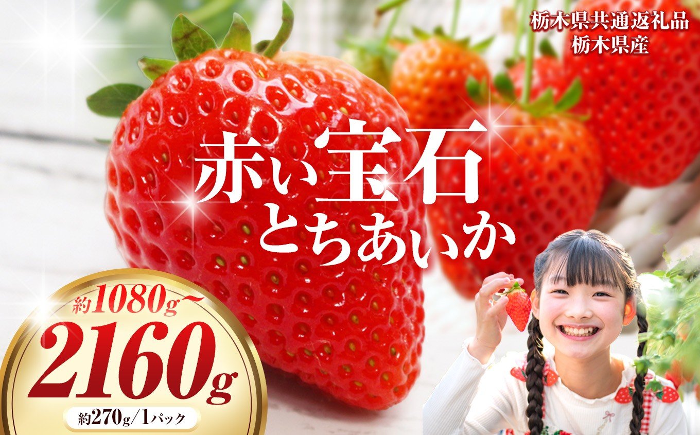 
                  【栃木県共通返礼品】【選べるグラム数】赤い宝石「とちあいか」約270g×4P 1080g 2160g|  選べる いちご 苺 とちあいか 栃木県 那珂川町 送料無料 デザート ご褒美 美味しい 甘い フルーツ ジューシー 送料無料
                