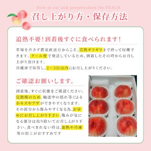 もも あまくてとろ～り芳醇な桃【5～6玉】【先行予約】【2026年6月下旬～8月上旬順次発送】 かつらぎ町 【aozf001】