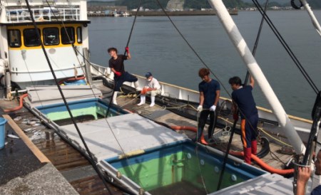 宿毛湾産　旬の地魚（2種）お造りセット(1～2人前)