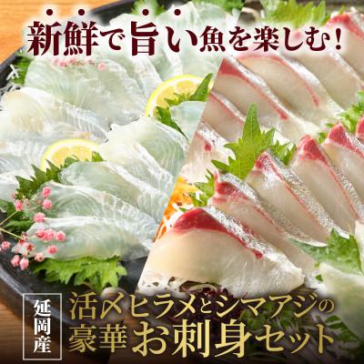 ふるさと納税 延岡市 延岡産活〆ヒラメとシマアジの豪華お刺身セット