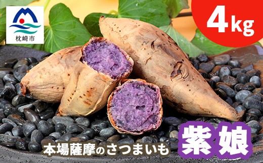 
                  本場鹿児島さつまいも ＜紫娘＞4kg　2026年10月上旬より発送Z0-12_ さつま芋 紫芋 むらさきいも 焼き芋 スイーツ 【1487867】
                