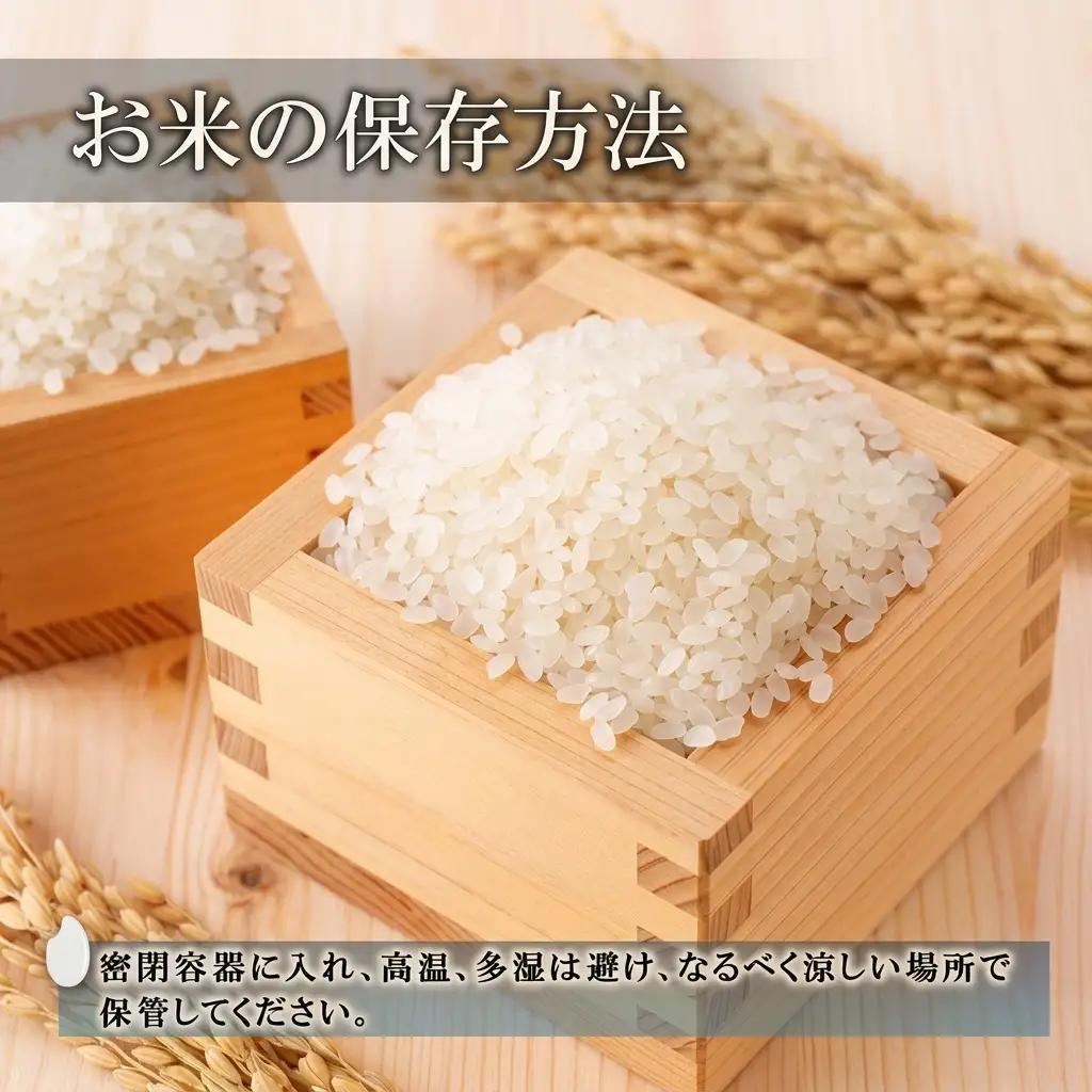 先行予約 令和8年産 新潟県上越市産 虹のきらめき5kg 米 にじのきらめき ご飯 精米 お米 新潟 橋本農場