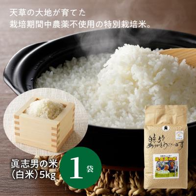 ふるさと納税 天草市 【令和7年産】健幸米5kgセット(コシヒカリ・玄米めんなど)_S067-018A |  | 01