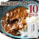 【ふるさと納税】熟成飛騨牛カレー　10食セット コロナ 事業者応援 巣ごもり 観光地応援 肉 熨斗掛け［D0034］36000円