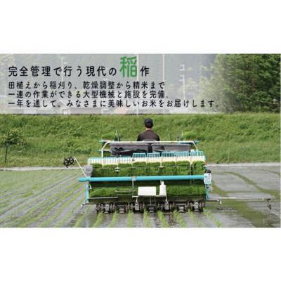 ふるさと納税 若狭町 【令和7年産】福井県若狭町コシヒカリ(1等米)10kg |  | 02