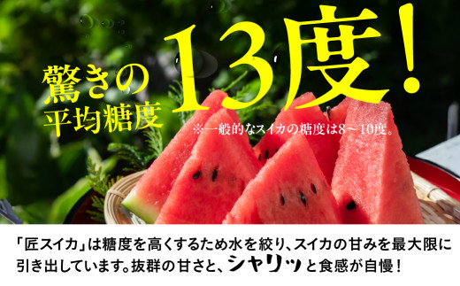 匠スイカ 先行予約 2玉 スイカ すいか 西瓜 夏 旬 匠 瓜フルーツ 果物 くだもの ギフト 田原市 渥美半島 ブランド甘い スイーツ スイカ