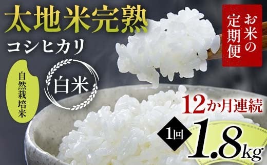【先行予約】お米の定期便 自然栽培米 太地米完熟 【こしひかり】 白米1.8kg×12か月連続 ブランド米 お米 精米 白米 人気 F7X-0751