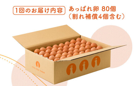 【6回定期便】いとう君ちのあっぱれ卵 80個（76個+割れ補償4個）/いとう養鶏場[UAQ004]