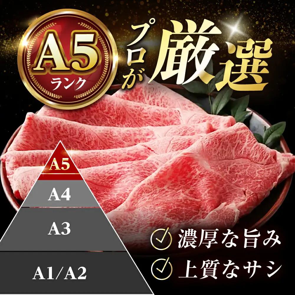 【全6回定期便】国産和牛切落し 600g[AOAI024] 牛肉切り落とし