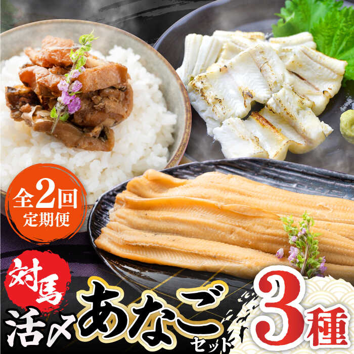 【ふるさと納税】【全2回定期便】対馬 産 活〆 あなご セット《対馬市》【対馬地域商社】九州 長崎 煮あなご 佃煮 アナゴ[WAC053]