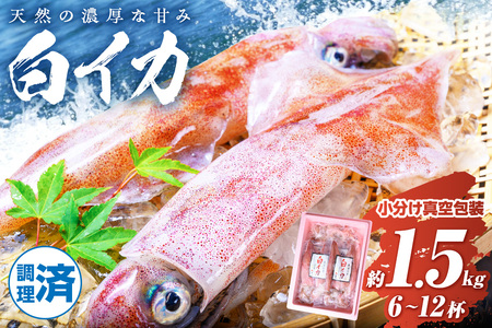 【先行予約】白イカケンサキ正味1.5kg しろいか