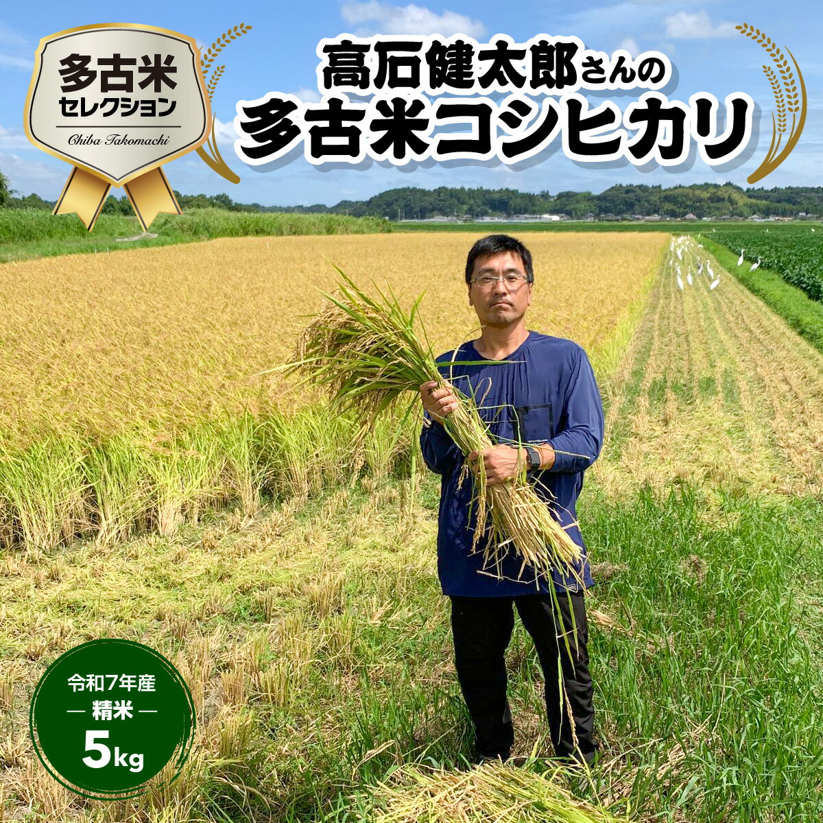 【ふるさと納税】多古米セレクション　高石健太郎さんの多古米コシヒカリ　精米5kg　令和7年産【配送不可地域：離島】多古米 コシヒカリ 白米 精米 千葉県産 多古町【TAKF035】