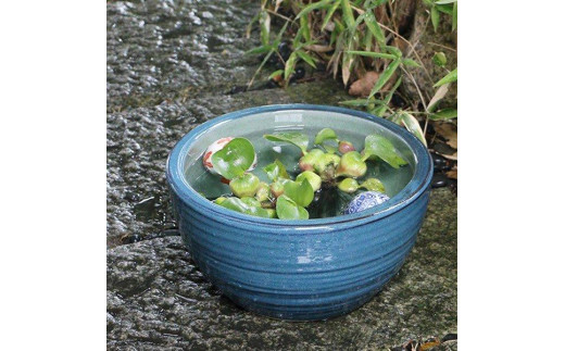 信楽焼 10号ナマコ水鉢 睡蓮鉢 メダカ鉢