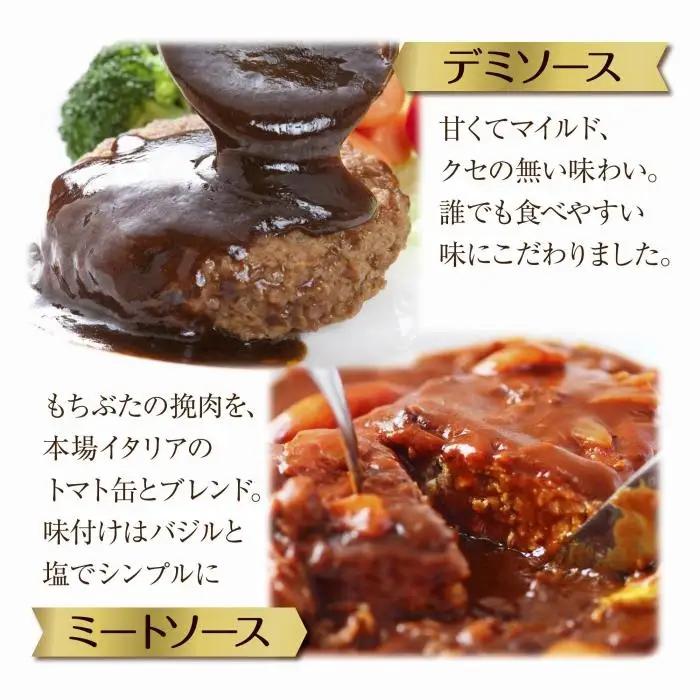 和豚もちぶた ハンバーグ 煮込み&チーズ 煮込み&チーズ 2種  2個入×各1袋 ミートソース チーズ デミグラス もちぶた100%使用 豚肉 ポーク 手軽 レトルト 冷凍 肉の片山 送料無料 新潟県