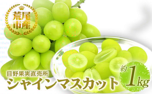 シャインマスカット 目野果実直売所の シャインマスカット 約 1kg フルーツ 果物 新鮮 マスカット 旬 デザート 《8月上旬-9月下旬頃出荷》