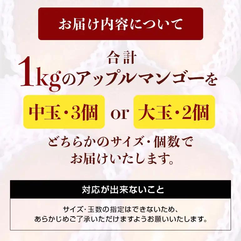 【 先行予約 2027年 発送 】 沖縄県 糸満産の「 濃厚 アップルマンゴー 」1kg オリジナル 贈答用 化粧箱入り 沖縄県産 マンゴー 完熟マンゴー 果物 くだもの フルーツ 完熟 夏 旬 沖縄