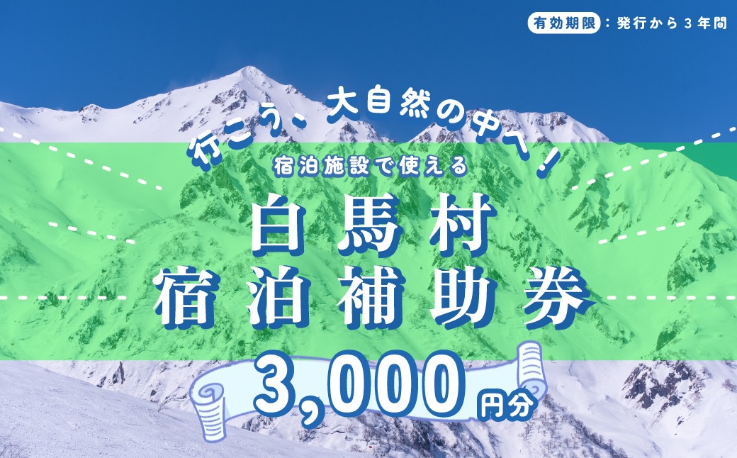 宿泊補助券3,000円分