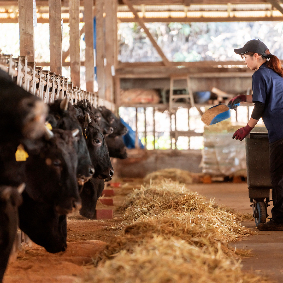 【ANA限定】黒毛和牛 赤身 焼肉 400g（国産 牛肉 和牛 赤身 モモ ウデ 焼肉 BBQ 限定 ANAオリジナル）