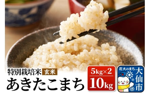 新米 米 令和7年産【特別栽培米】あきたこまち【玄米】10kg（5kg×2）