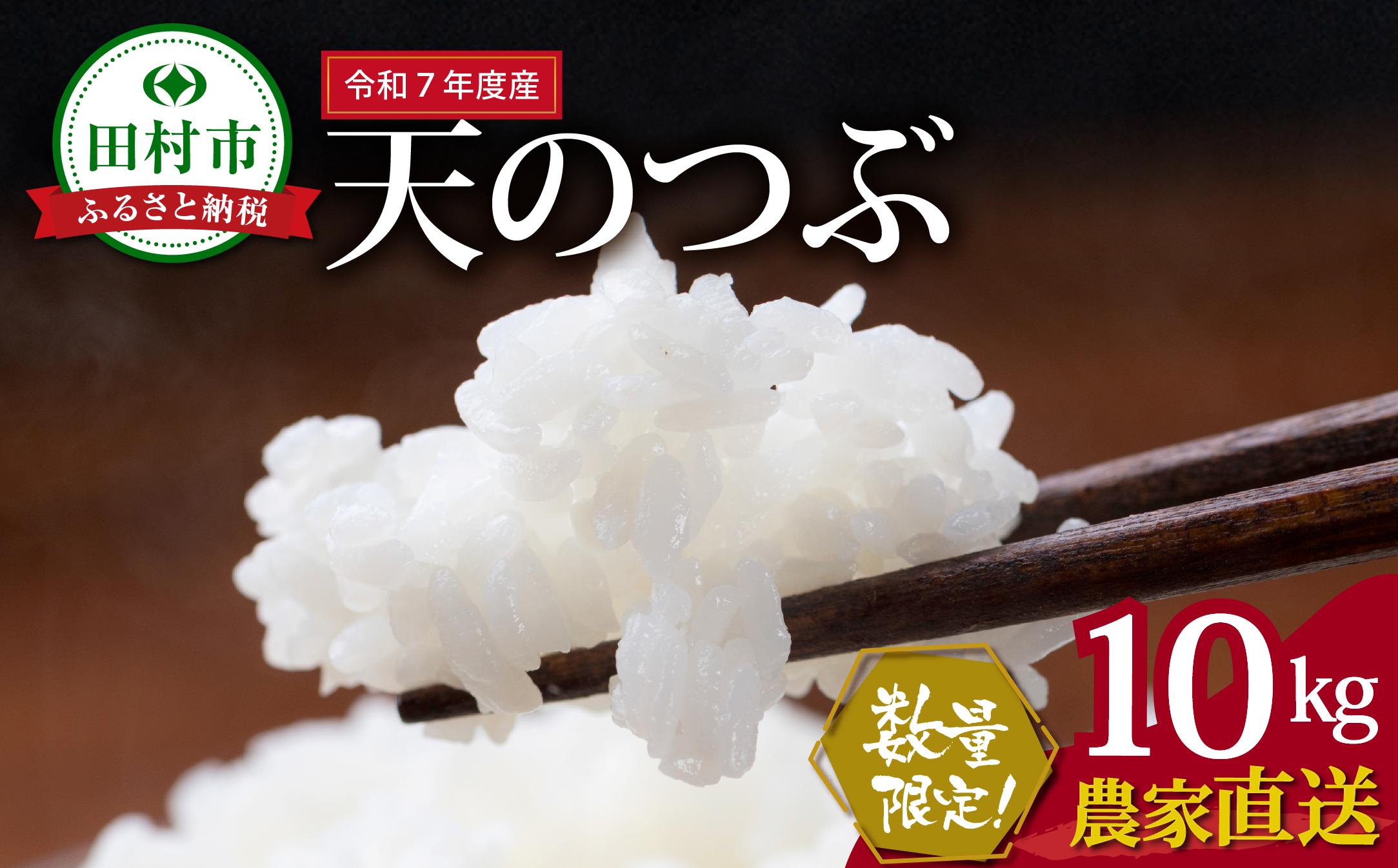 
            数量限定 ＼ 新米 先行予約開始！／ 【令和7年産】田村産 天のつぶ 10kg ( 10kg(紙袋) × 1袋 ) 農家直送 2025年10月下旬発送 お米 白米 精米したてを発送 贈答 米 コメ ご飯 単一米 精米 国産 おすすめ 生活応援 福島県 田村市 井堀利男
          