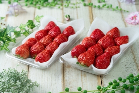 福岡産【冬】あまおうDX(デラックス)2パック【南国フルーツ株式会社】_HA1911