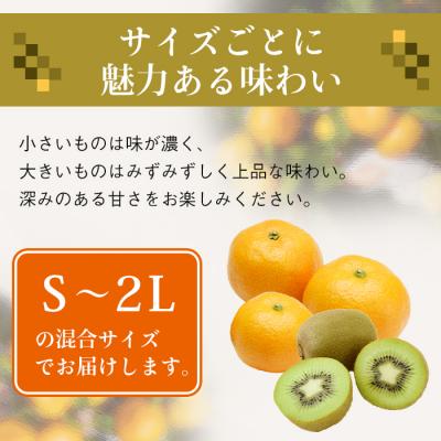 ふるさと納税 淡路市 片山農園の温州みかん3.0kgとキウイ2.0kg【サイズ色々S〜2Lサイズ】　ak03801 |  | 03
