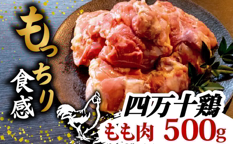 
            銘柄鶏 四万十鶏 もも肉 500g | 切身 カットでかんたん時短セット カット済み 鳥肉 とりにく 鶏もも 冷凍 国産 ブランド 唐揚げ 煮物 鍋 チキン 南蛮 高知県 須崎市 TM041
          