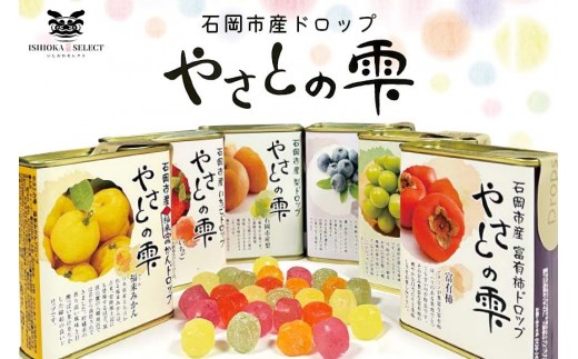 
            やさとの雫 ドロップ 85g×4個 柿 ブルーベリー いちご 福来みかん 梨 かぼちゃ 選べる 飴 お茶請け お菓子 お茶うけ 常温保存 ギフト プレゼント 贈答用 贈答品 茨城県 石岡市 (F02-001)
          
