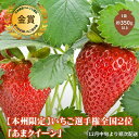 【ふるさと納税】【本州限定】いちご選手権全国2位「あまクイーン」※12月中旬より順次配送　【 果物 フルーツ デザート おやつ 甘い 酸味 とろける やわらかい 】　お届け：12月下旬～順次発送