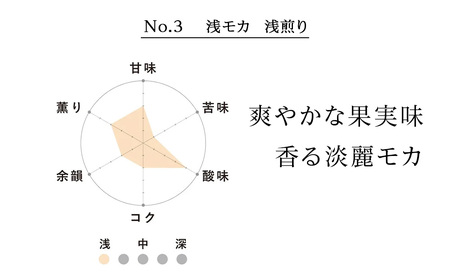 No.3 浅モカ　60g×３　合計180g　森彦珈琲