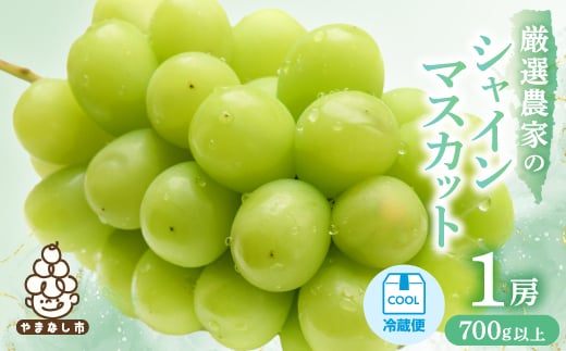 ＜2026年発送＞厳選農家のシャインマスカット 700g以上 1房　化粧箱入り【1565534】