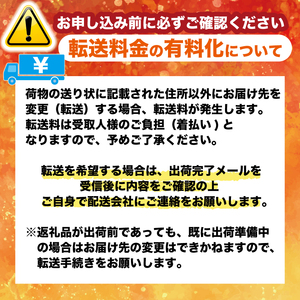 無添加 はるか ジュース 1720ml 3本 ストレート 果汁 100% 柑橘 果物 国産 フルーツ 蜜柑 みかん ビタミン 美味しい みかん職人武田屋 愛媛県 愛南町 発送：2025年2月中旬以降順