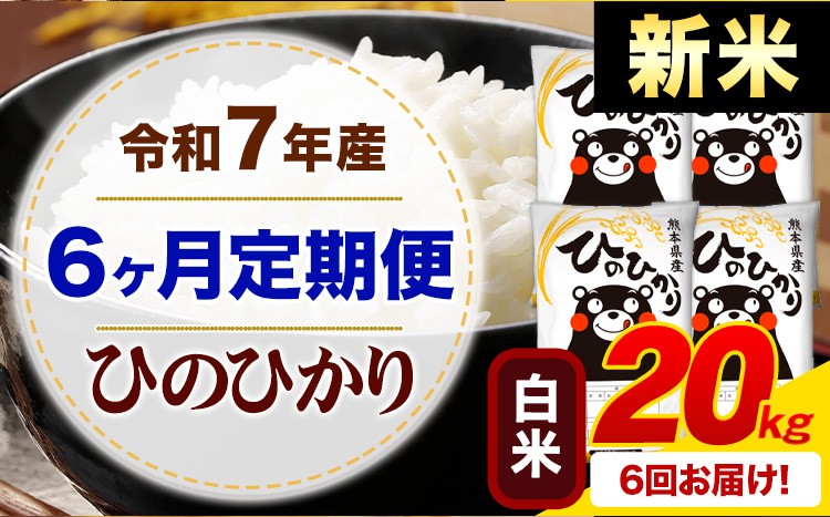 
            【6ヶ月定期便】新米 令和7年産 白米 ひのひかり 定期便 20kg《お申し込みの翌月から出荷》熊本県産 ふるさと納税 精米 ひの 米 こめ ふるさとのうぜい ヒノヒカリ コメ お米
          