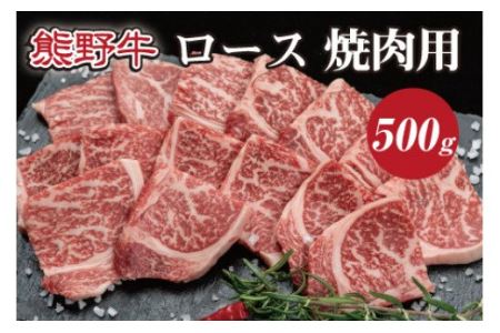 特選黒毛和牛 熊野牛 焼肉用ロース　約500g【mtf410】