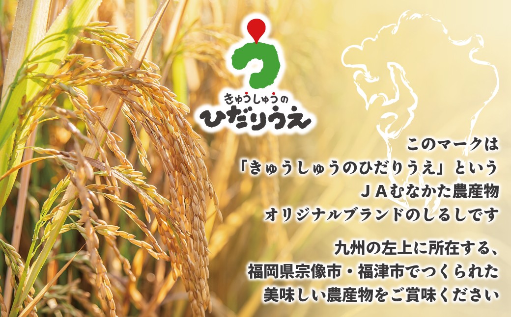 【令和7年産】JAよりお届け！福岡県ブランド米「夢つくし」5kg