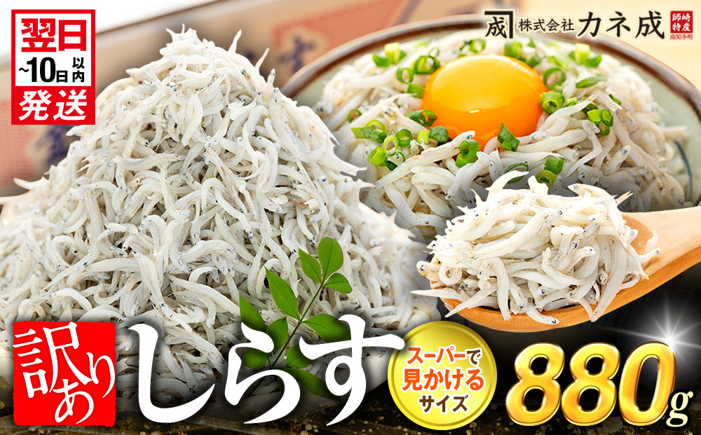 
訳あり カネ成 釜揚げしらす 880g 110g×8パック 小分け 減塩 無添加 無着色 冷凍 シラス しらす 魚 小魚 魚貝 魚貝類 しらす シラス 天日干し 海鮮 しらす丼 シラス丼 しらすご飯 シラスご飯 ふるさと納税しらす ふるさと納税 しらす おすすめ 大人気 南知多産しらす愛知県産しらす ちりめん じゃこ かちり おつまみ 丼 白子 ちりめんじゃこ 人気 おすすめ 愛知県 南知多町
