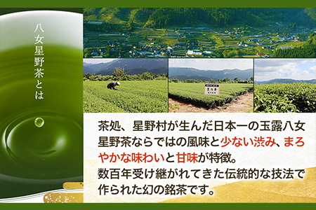八女茶 煎茶ティーバッグ 計200パック (3g×100パック入り×2袋) 株式会社親和園《30日以内に順次出荷(土日祝除く)》福岡県 鞍手郡 鞍手町 お茶 緑茶 茶 八女星野茶 ティーパック ティー